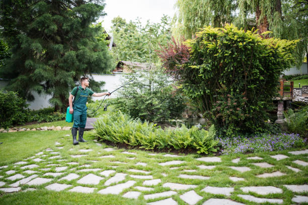 Best Exterminator Services  in Apison, TN