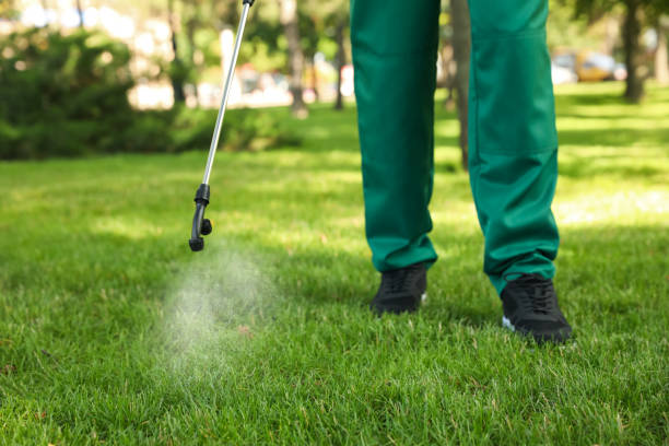 Professional Pest Control in Apison, TN
