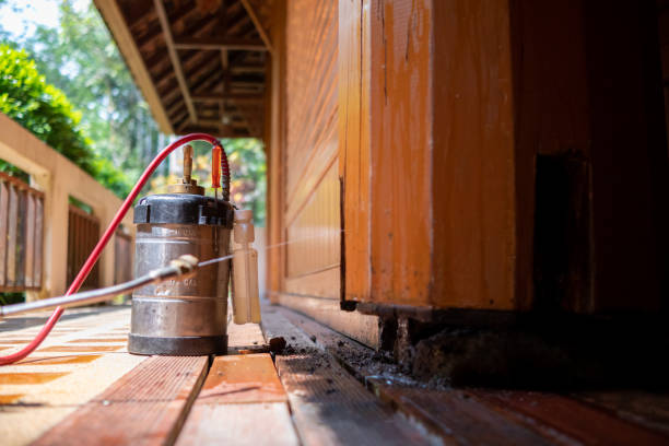 Best Best Pest Control Companies  in Apison, TN
