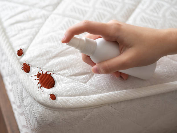 Best Local Pest Control Services  in Apison, TN